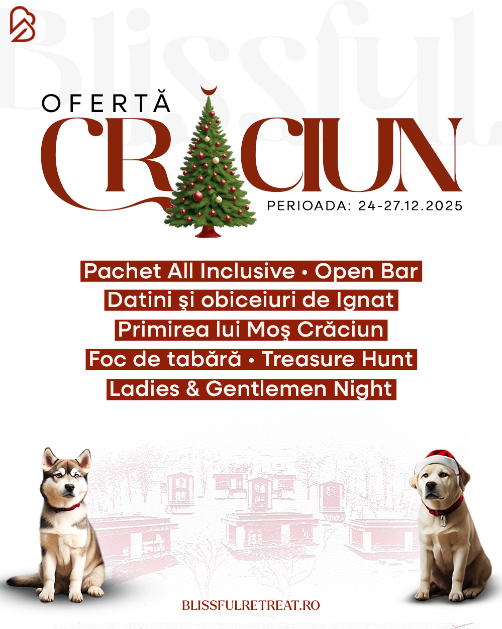 7.06 oferta craciun carusel (1)
