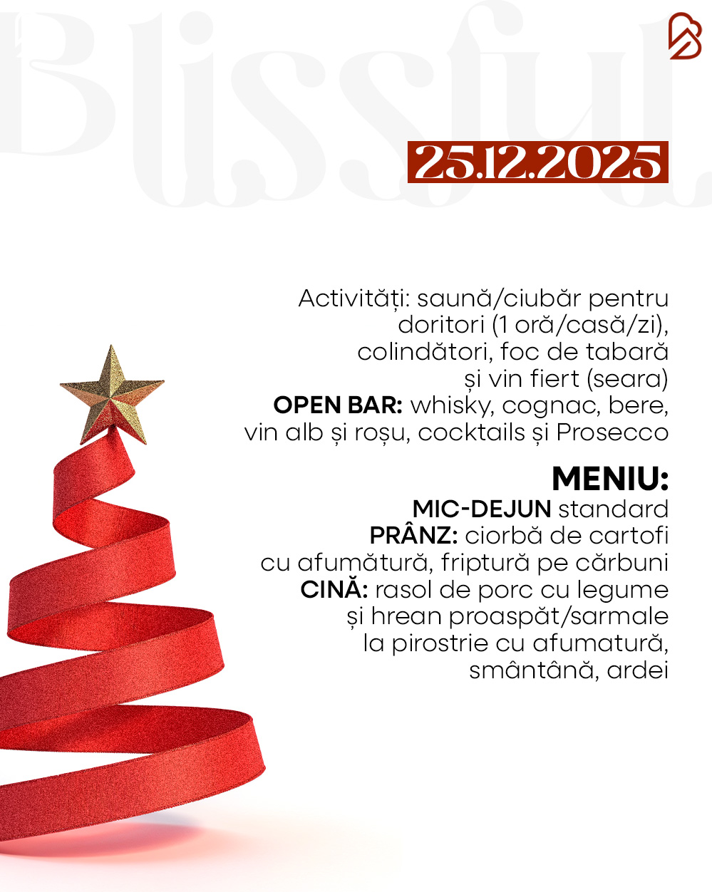 7.06 oferta craciun carusel (3)