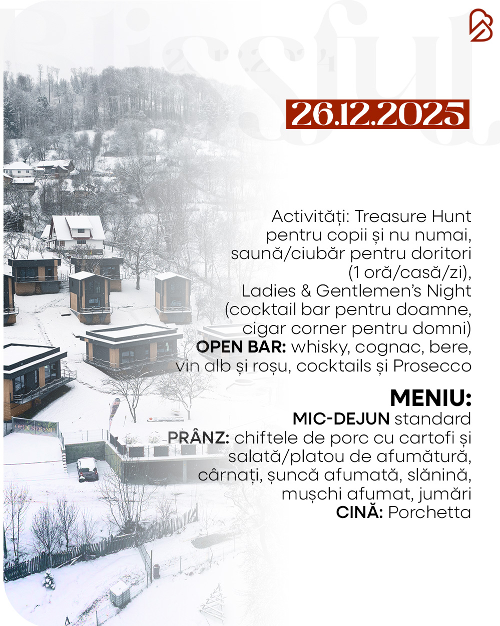 7.06 oferta craciun carusel (4)