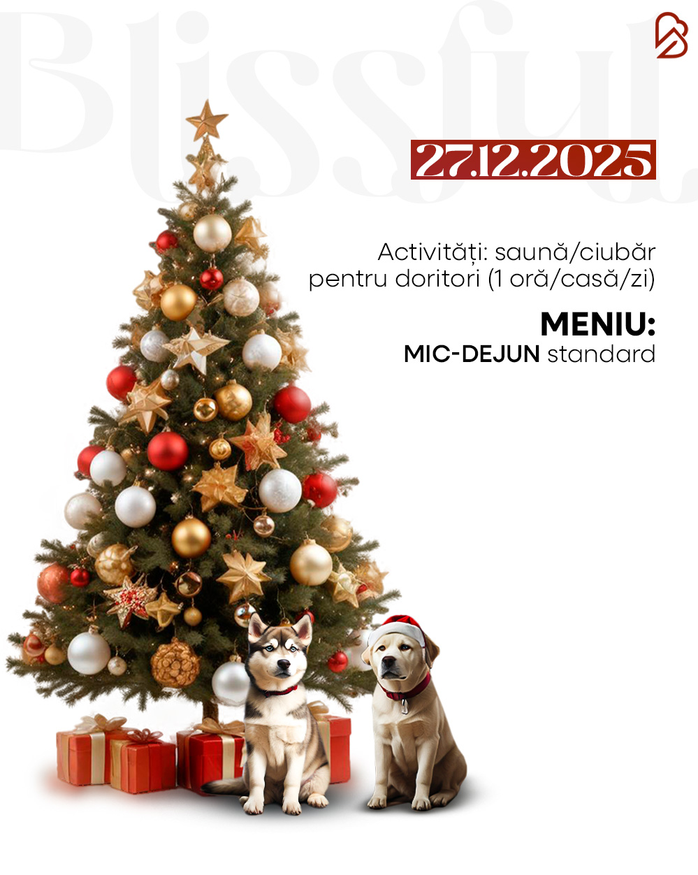 7.06 oferta craciun carusel (5)