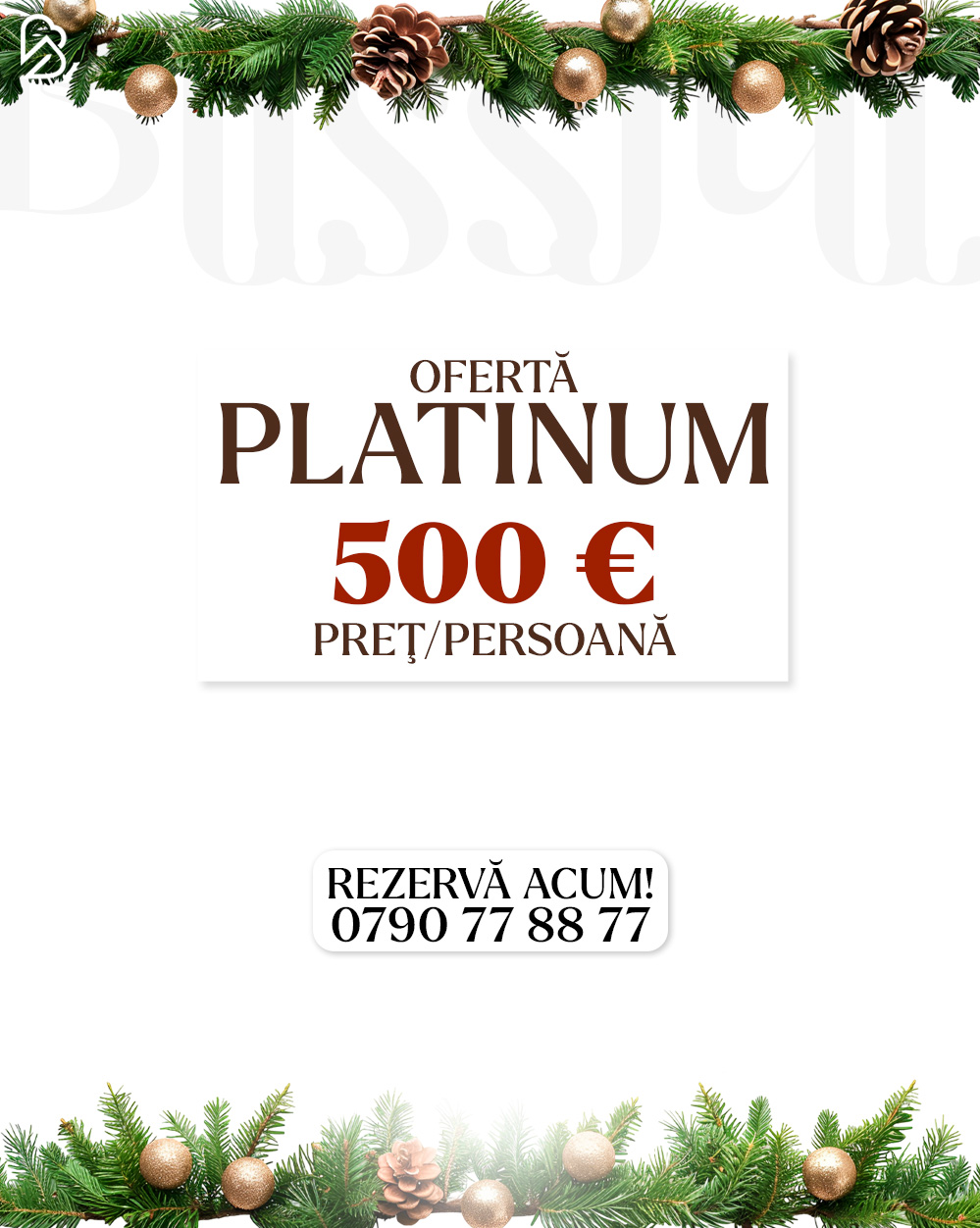 7.06 oferta craciun carusel (6)