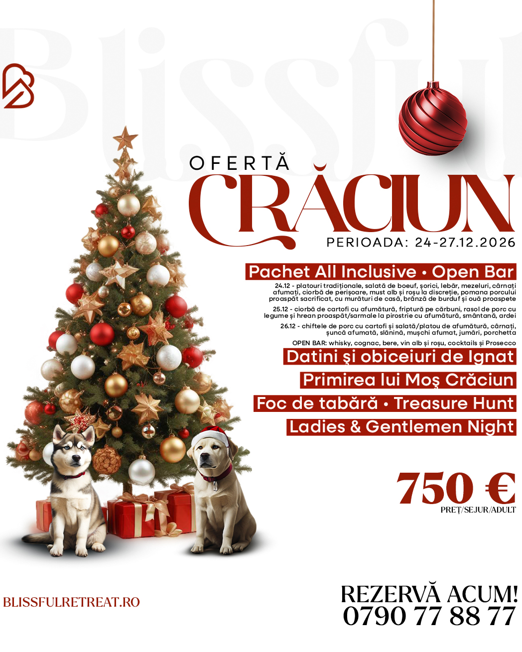 03,02 craciun postare